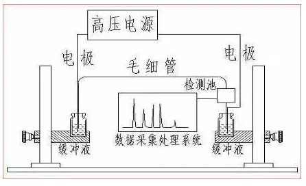 ATA-7050毛細(xì)管電泳功率放大器如何進(jìn)行毛細(xì)管電泳實(shí)驗(yàn) ATA-7050毛細(xì)管電泳功率放大器如何進(jìn)行毛細(xì)管電泳實(shí)驗(yàn)