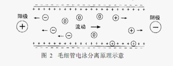 ATA-7050毛細(xì)管電泳功率放大器如何進(jìn)行毛細(xì)管電泳實(shí)驗(yàn) ATA-7050毛細(xì)管電泳功率放大器如何進(jìn)行毛細(xì)管電泳實(shí)驗(yàn)